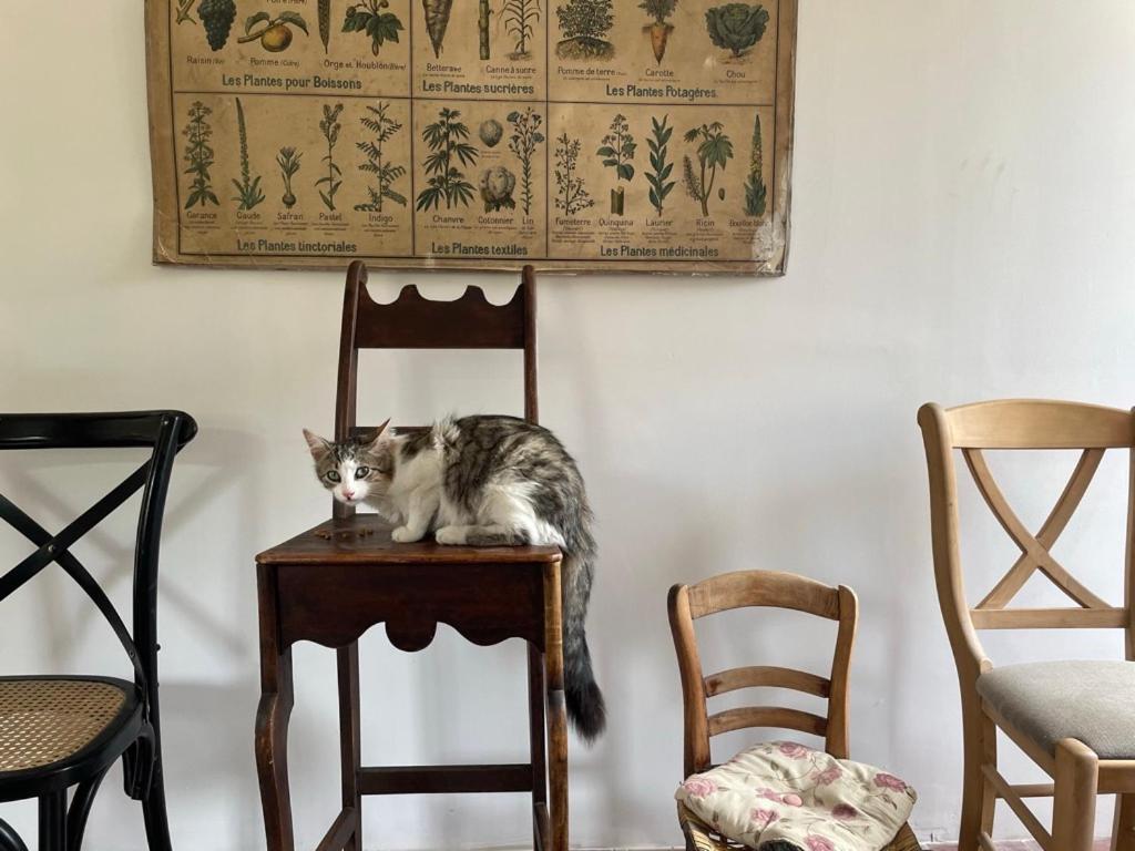 Hagetmau La Chaise Haute المظهر الخارجي الصورة